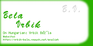 bela vrbik business card